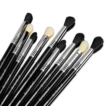 SIGMA - DELUXE BLENDING BRUSH SET